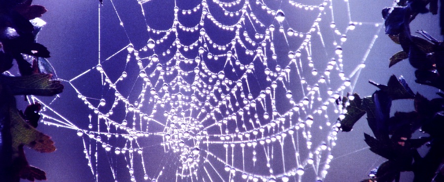 Développement de sites Web